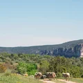 Paysan boulanger bio et éleveur d’agneaux en Aveyron, La ferme du Mas de Bru