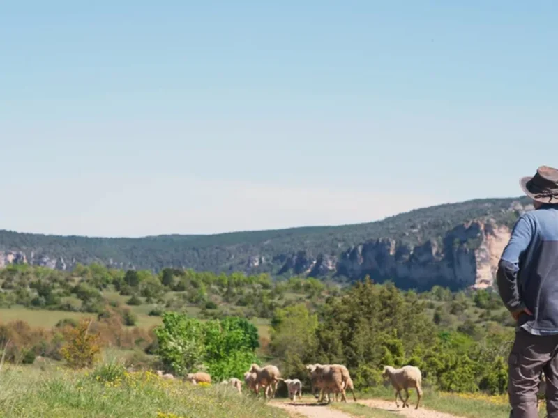 Paysan boulanger bio et éleveur d’agneaux en Aveyron, La ferme du Mas de Bru