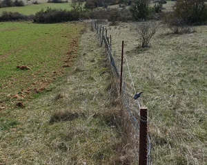 L’entretien des clôtures à la Ferme du Mas de Bru sur le Larzac près de Millau
