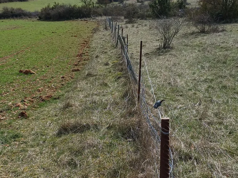 L’entretien des clôtures à la Ferme du Mas de Bru sur le Larzac près de Millau