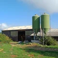 les silos à grain adossés au ha,gar de la bergerie
